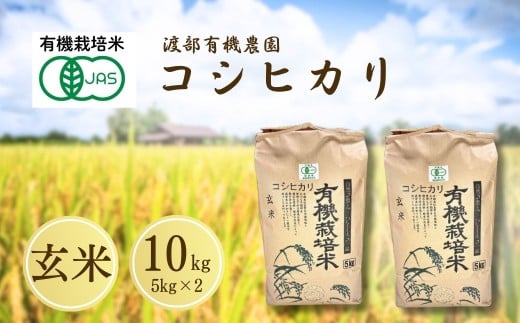 JAS有機米 コシヒカリ 白米 5kg 令和7年産 キンチャク入り | JAS 有機米 精米 コメ 米 こめ ブランド米 銘柄 福島 福島県産 渡部有機農園