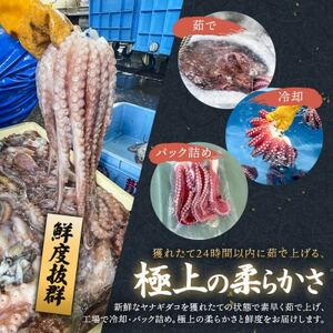 【毎月定期便】ヤナギダコ500g【産地直送】プリプリ食感 北海道 釧路町 昆布森産全9回【配送不可地域：離島】【4083664】