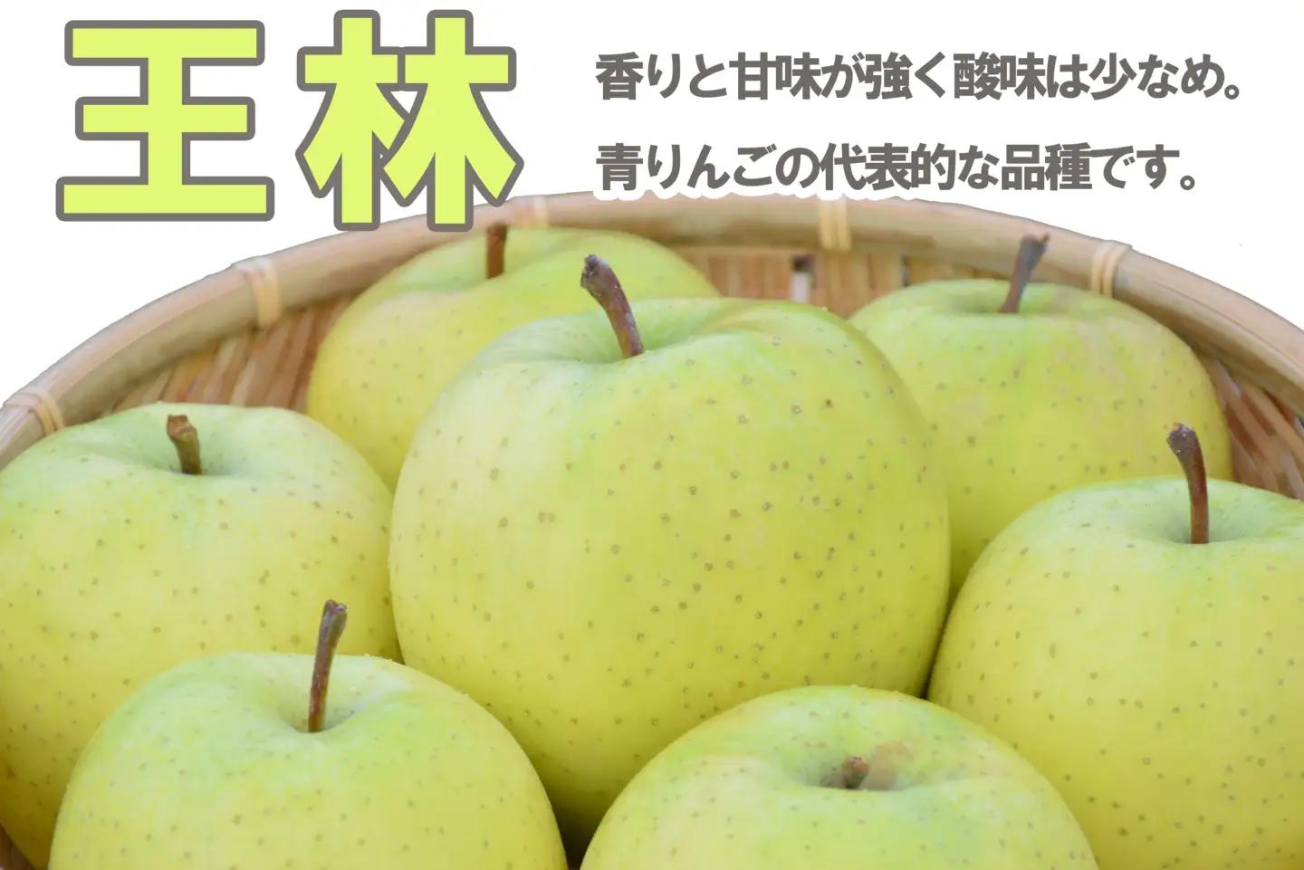 黄色りんご食べ比べ定期便 人気黄色りんご食べ比べ 3回 定期便　・ぐんま名月：約5kg・王林：約5kg・シナノゴールド：約5kg