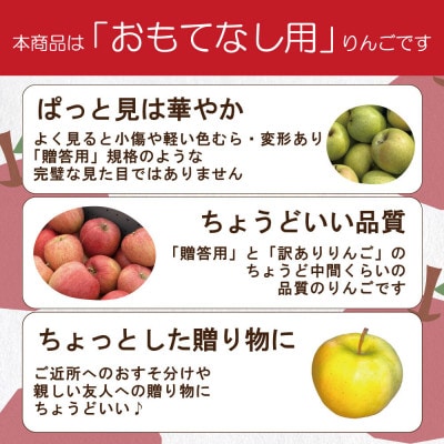 【11月から順次発送!】青森県産りんご サンふじ 約5kg おもてなし用 平均糖度13度以上!【配送不可地域：離島・沖縄県】