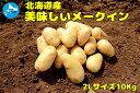 【ふるさと納税】【2024年発送】北海道上ノ国町産 おいしい馬鈴薯「メークイン」　2Lサイズ×10kg　ジャガイモ　じゃがいも　芋
