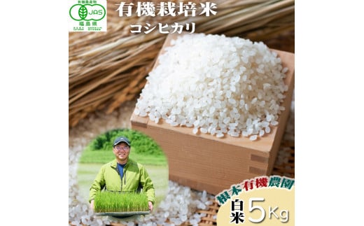 【令和6年産】南相馬 コシヒカリ 5kg 5キロ JAS 有機米 根本有機農園 コシヒカリ 白米 精米 コメ ブランド米 福島 福島県産 低温貯蔵庫 送料無料 たんぱく質 旨い ふるさと納税 オンライン申請【3003801】