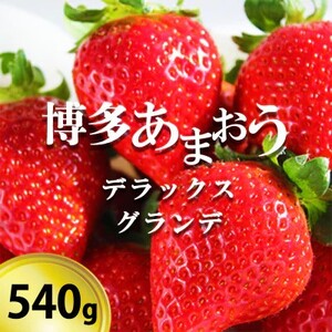 いちご 博多あまおう デラックス&グランデ 2パック 【お申込：2025年1月25日迄、配送：2月1日～2月15日】