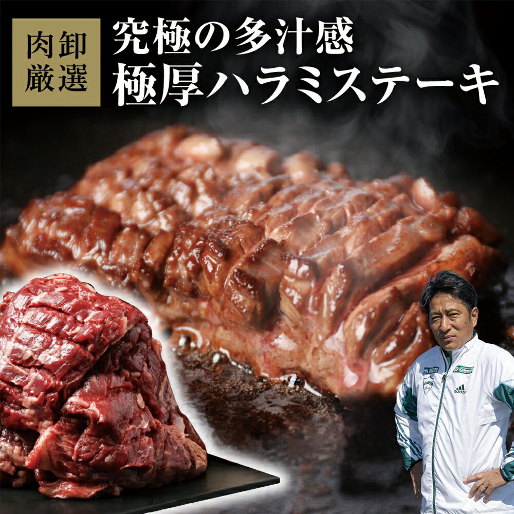 【ふるさと納税】極厚ハラミステーキ 500g～1.5kg 選べる容量 肉 訳あり 牛肉 ハラミ 焼肉 バーベキュー 厚切り 冷凍 真空パック お取り寄せ 熊本県 水上村
