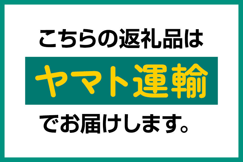 米 白米 パックご飯 200g×40個《特A産地》秋田県 仙北市産 あきたこまち パックごはん【 パックご飯 パックライス ご飯 ご飯パック ごはんパック パック レトルト 米】
