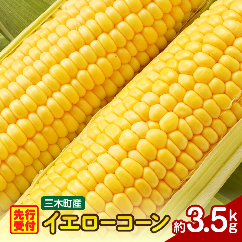 【ふるさと納税】三木町産 イエローコーン 約3.5kg とうもろこし 野菜 コーン イエローコーン 旬の野菜 旬 季節の野菜 季節 贈答 贈り物 ギフト プレゼント おすそ分け グルメ お取り寄せ 人気 おすすめ 特産 特産品 生鮮食品 香川県 三木町 送料無料