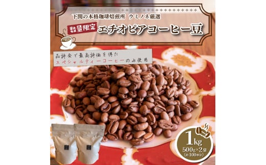 
訳あり コーヒー豆 1kg ( 500g × 2袋 ) 数量限定 選べる 煎り方 深煎り 中深煎り 浅煎り エチオピア 珈琲 自家焙煎 下関 山口
