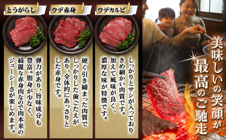 【お歳暮】宮崎牛赤身6種600g≪11月17日～12月21日お届け≫_16-2601-WG_(都城市) 牛肉 赤身 希少部位 食べ比べ 焼き肉 焼肉 BBQ ウデミスジ ウデ三角 ウデクリ とうがらし