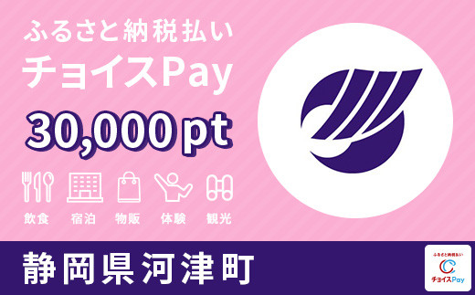 
河津町チョイスPay 30,000pt（1pt＝1円）【会員限定のお礼の品】
