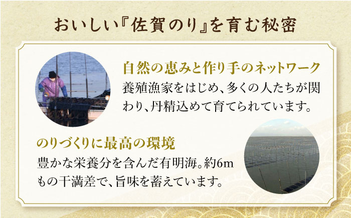 【全3回定期便】佐賀のり（半形味付海苔10袋詰）味付け海苔 佐賀海苔 [HAT024]