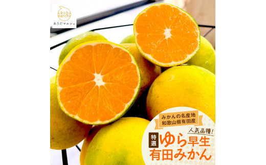 ［先行予約］特選 ゆら早生有田みかん約5kg［2025年10月上旬より発送］［サイズ混合］［MS25］