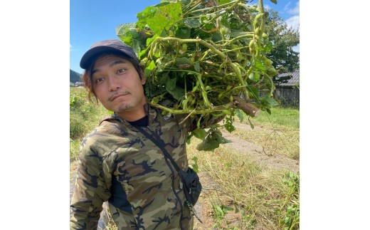 丹波篠山産黒枝豆 1kg（500g×2袋）　 プレミアム枝豆 期間限定 黒枝豆 えだまめ エダマメ お取り寄せグルメ 高級 特産品 名産品 おつまみ おうち居酒屋