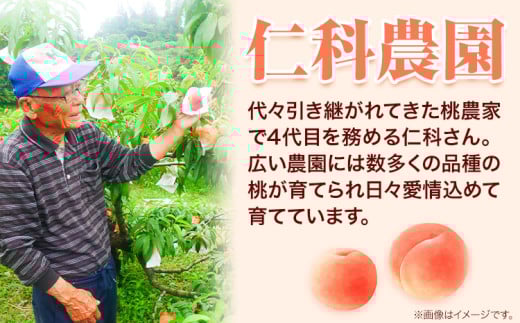 【先行予約】【7月中旬〜8月上旬頃出荷】桃 通常品種 2kg もも 岡山 白鳳 紅清水 よし姫 なつおとめ 川中島白桃 岡山県 笠岡市 送料無料 果物 フルーツ お取り寄せ