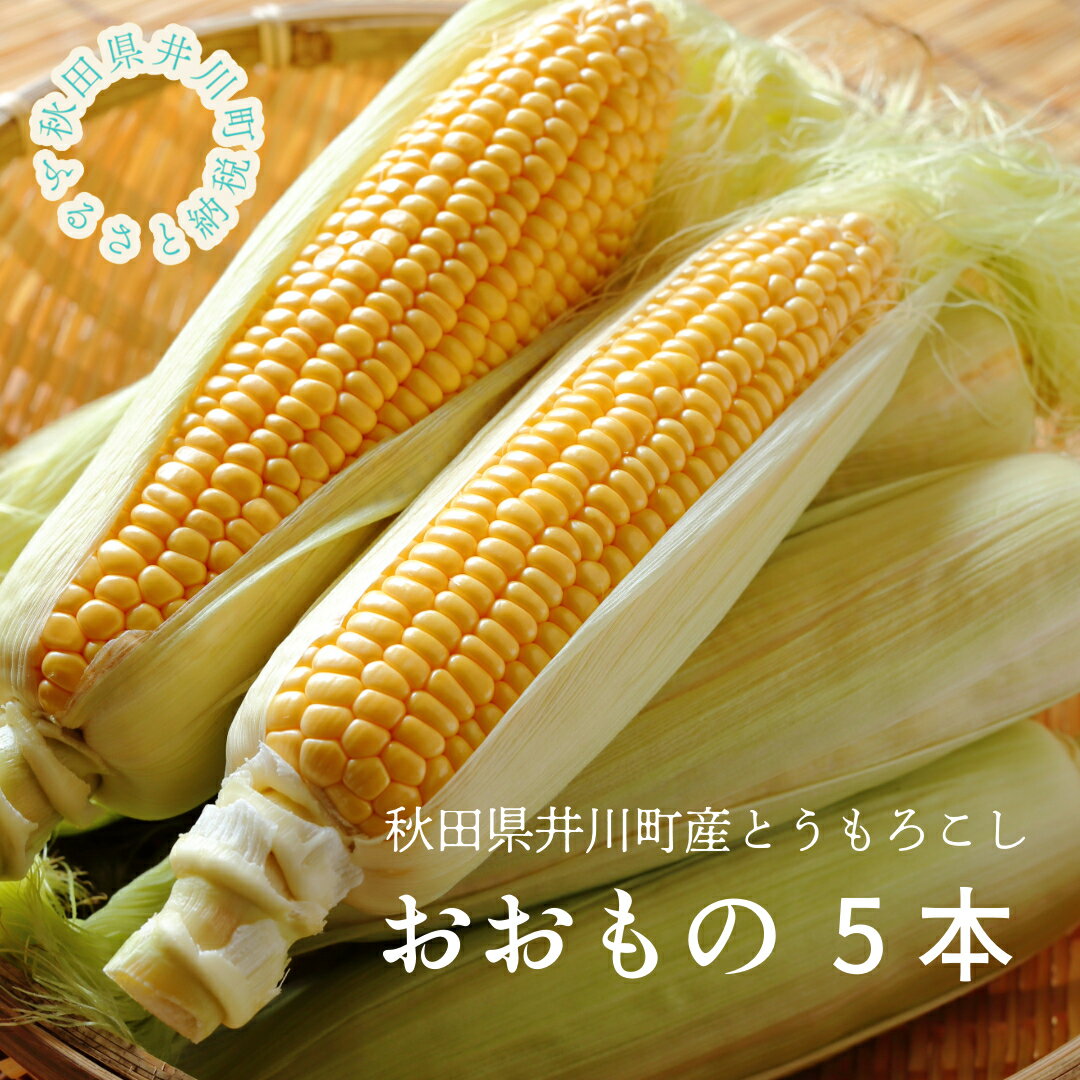 【ふるさと納税】とうもろこし（5本）秋田県井川町産　つかまファーム