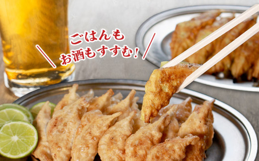 冷凍餃子 選べる容量 にんにくあり 30個×1p 餃子 セット ぎょうざ ギョウザ にんにく 青森 肉 お肉 豚肉 豚 鶏肉 鳥 おつまみ 加工品 肉汁 惣菜 お弁当 冷凍ストック 寺岡商店 香川県 
