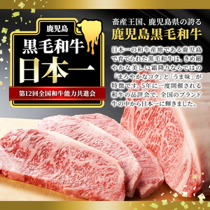 ＜14営業日以内に発送！＞＜1枚・計約250g＋ハンバーグ1個＞4等級以上！鹿児島県産黒毛和牛ロースステーキ1枚セット 黒毛和牛 ステーキ 冷凍【ナンチク】B1-01-v04