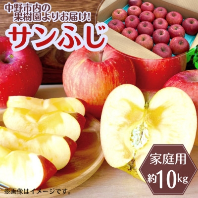 
                  ◆2026年1月中発送◆りんご サンふじ家庭用 約10kg(24～42玉)【1515113】
                