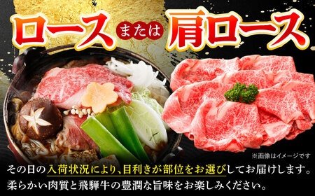 飛騨牛 ロースまたは肩ロース すき焼き しゃぶしゃぶ 両用 1kg 多治見市 / 養老ミート 冷凍 スライス 和牛 ギフト[THG011]