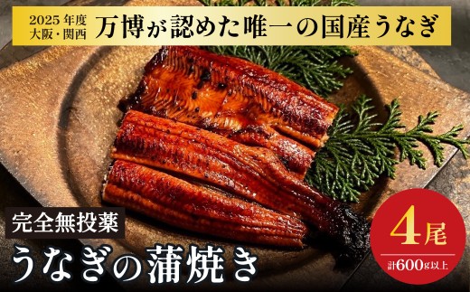鰻 鰻の蒲焼き4尾セット 国産うなぎ 国産 美陵鰻 うなぎ ウナギ かば焼き 蒲焼きせいろ蒸し 土用の丑の日 土用 丑の日 贈答 贈り物 大阪府 阪南市 送料無料 ギフト 特大 肉厚 うな重 うな丼