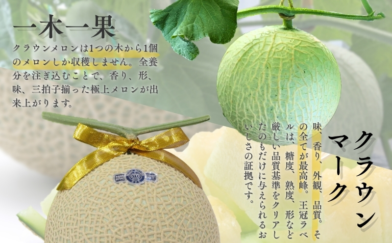 クラウンメロン【並（白等級）】大玉（1.4kg前後）1玉入り