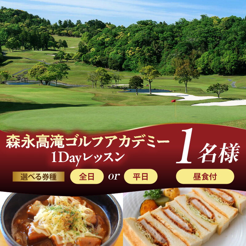 【ふるさと納税】ゴルフ 利用券 森永高滝ゴルフアカデミー 1Day レッスン ( 選べる : 1名 平日 全日 ) ゴルフ利用券 ゴルフプレー券 プレー利用券 コース利用券 利用券 プレー券 チケット ゴルフ場 ラウンド スポーツ 人気 コース 関東 千葉県 市原市