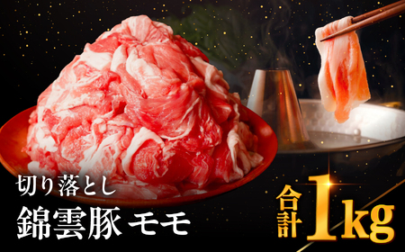 高級 ブランド 錦雲豚 モモ 切り落とし 1kg | お肉 肉 おにく 豚 ぶた 豚肉 もも モモ肉 もも肉 豚もも 切落し 大分県 中津市