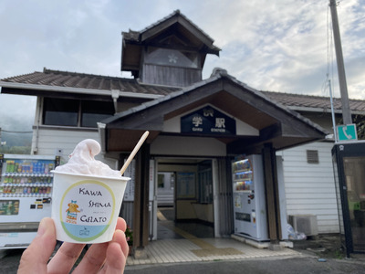 川島ジェラート 桜咲く 入学アイス（１２個１箱セット） ジェラート