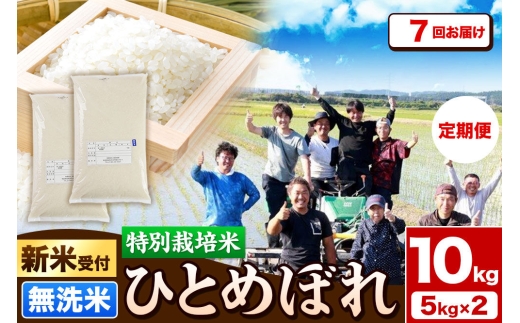《新米予約》《定期便7ヶ月》令和8年産【無洗米】特別栽培米 ひとめぼれ 10kg（5kg×2袋）秋田県産 [ひとめぼれ 米 お米 白米 精米 無洗米 特別栽培米 ブランド米 食卓 秋田県産 秋田県 由利本荘市]