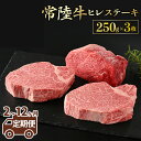 【ふるさと納税】＼レビューキャンペーン／【定期便】【常陸牛】ヒレステーキ 250g × 3枚 ＜定期便 2～12ヶ月＞ 藤井商店 最高級 希少 常陸牛ヒレステーキ 常陸牛 牛肉 ヒレ肉 肉 ヒレ ステーキ 牛ヒレ 赤身 茨城県産 定期便 冷凍 送料無料 （茨城県共通返礼品 茨城県産）