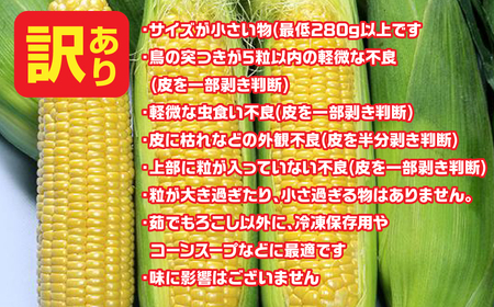 【2026年7月下旬発送】鳴沢村産　とうもろこし　恵味スタ－　【訳あり品】 ふるさと納税 山梨県 鳴沢村 送料無料 NSH005