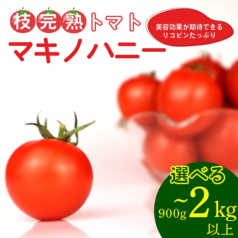 【ふるさと納税】 トマト 中玉 900g～2kg 以上 マキノハニー 枝完熟 トマト トマトップ 高 リコピン うまみ 甘い 新鮮 野菜 産地直送 やさい ビタミン 静岡県 牧之原市
