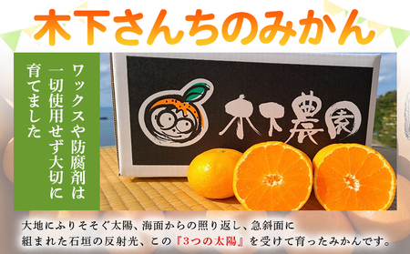 ＜木下さんちのみかん 訳あり 約10kg（2S～2Lサイズ混合）＞ 選べる わけあり 家庭用 柑橘 温州みかん うんしゅうみかん ミカン 蜜柑 果物 くだもの フルーツ 国産 特産品 木下農園 愛媛県