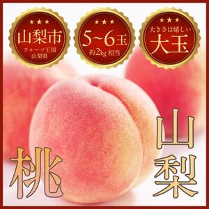 【山梨の絶品桃】山梨県山梨市産の桃 約2kg(5～6玉)【配送不可地域：離島・北海道・沖縄県・中国・四国・九州】【1638443】