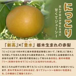 YN-07　にっこり梨　5kg