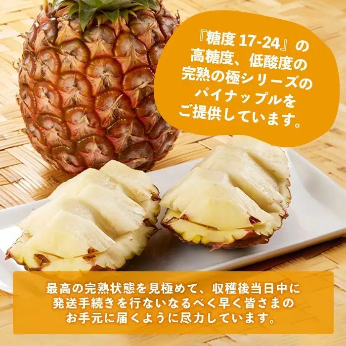 パイナップル好きにおすすめ！満足のパイナップル2品種定期便 《2027年4月～7月順次発送》