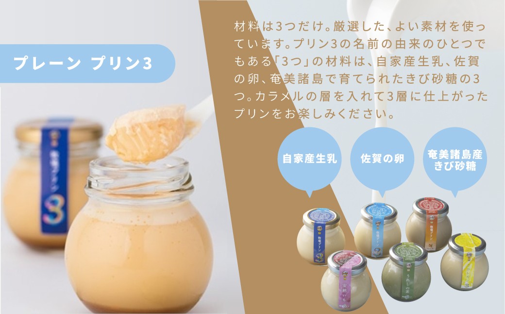 
                  【セット】【大富牧場フライングカウ】菓子／プリン６個セット（牧場プリン3（プレーン）、牧場プリン甘さ控えめ）
                