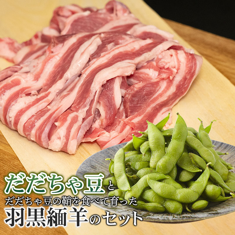 【ふるさと納税】【令和7年産 先行予約】だだちゃ豆とだだちゃ豆の鞘を食べて育った羽黒緬羊のセット | 肉バルYAKU禄 羊肉 枝豆 山形県 鶴岡市 返礼品 お取り寄せグルメ 詰め合わせ 楽天ふるさと 納税 えだまめ ひつじ まめ 国産 野菜 おつまみ