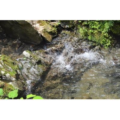 ふるさと納税 那賀町 那賀町相生産ヒノヒカリ白米10kg |  | 02