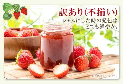 A-1181 ジャムにぴったり　訳あり いちご（750g×2パック）
