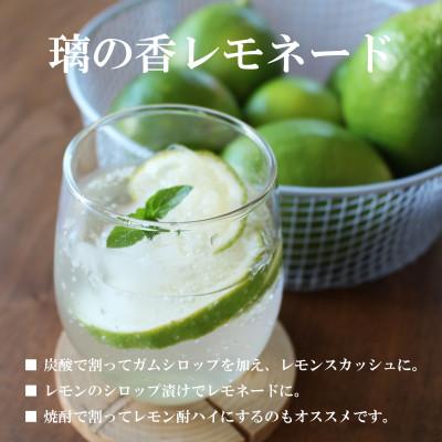 ふるさと納税 土佐市 <白木果樹園産> 璃の香レモン約1.5kg 果樹園直送(4〜7個入り) |  | 03