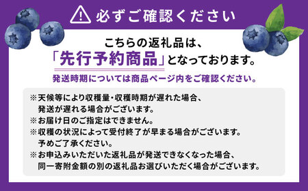 【2024年7月中旬頃より順次発送予定】生ブルーベリー 1kg（250g×4袋）/ ベリー ブルーベリー 生 小分け 果物 フルーツ / 大村市 / おおむら夢ファームシュシュ[ACAA005]