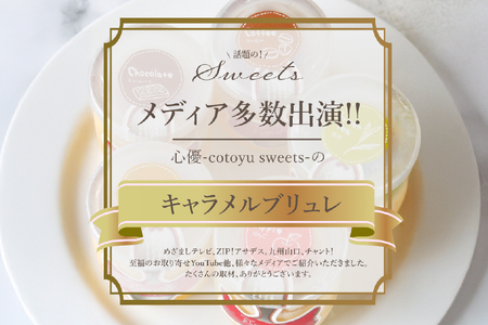 キャラメル ブリュレ プリン プレーン6個と季節の味6種各1個 計12個
