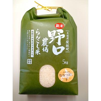 ふるさと納税 蘭越町 【先行受付_令和7年産】らんこし米 野口農場のななつぼし 5kg