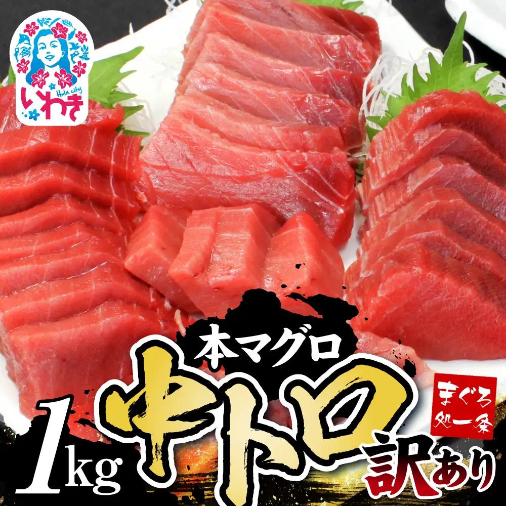 本まぐろ 中トロ 訳あり 1kg