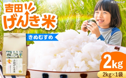 【新米 2kg】令和8年産 きぬむすめ （2kg×1袋）吉田げんき米 島根県雲南市産 特A評価実績 先行予約 白米 精米 米 お米 【2026年9月下旬以降順次発送】 [AIDB128-r8]