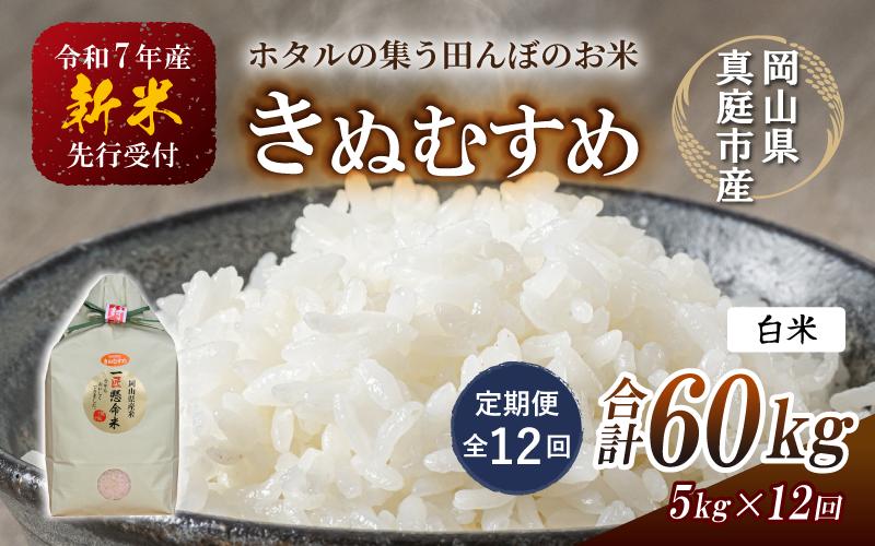 
            ＜定期便 全12回＞ 令和7年新米 真庭市産きぬむすめ 白米5kg×12回 / お米 国産 岡山県 米 人気 ブランド 2025年産 【tkns-tkb015-cho】
          