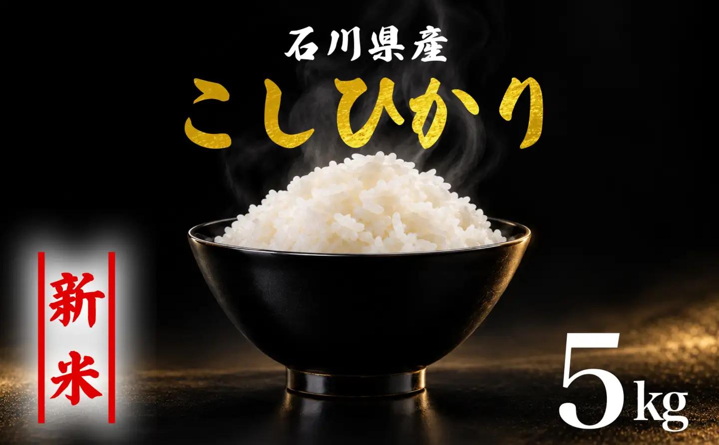 【令和8年産】 精米 コシヒカリ 5kg こしひかり 白米