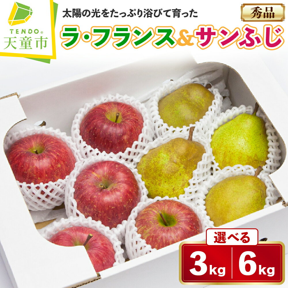 【ふるさと納税】 ラ・フランス & サンふじ 詰合せ 選べる 3kg / 6kg ラフランス 洋梨 ふじ りんご 果物 フルーツ セット 秀 のし 贈答 ギフト プレゼント おすそ分け お取り寄せ 旬 秋 冬 期間限定 送料無料 先行予約 【 山形県 天童市 】