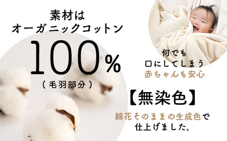 泉大津製 無着色オーガニックコットンマイヤー毛布(毛羽部分) [0743]