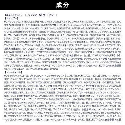 ふるさと納税 滑川町 ダイアン エクストラストレート シャンプー&トリートメント 本体セット|19_ntl-060201 |  | 01